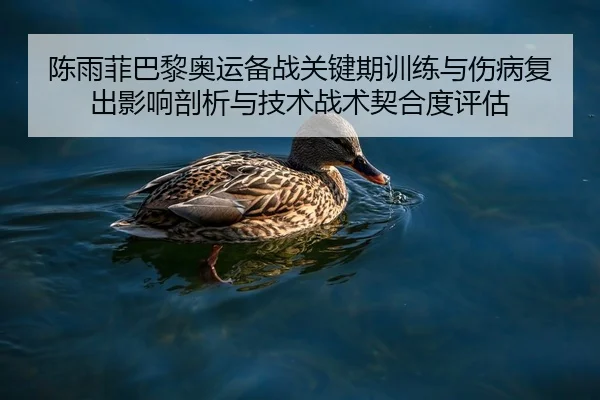 陈雨菲巴黎奥运备战关键期训练与伤病复出影响剖析与技术战术契合度评估